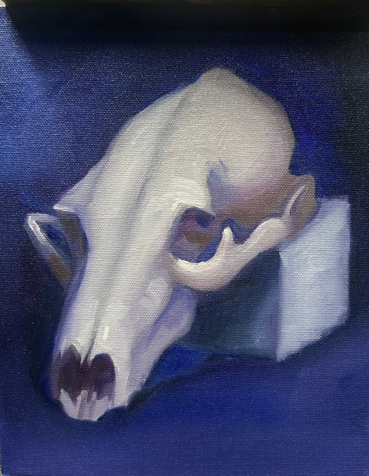 Still Life Paintings