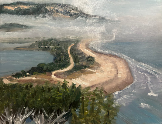 Bolinas Beach Landscape