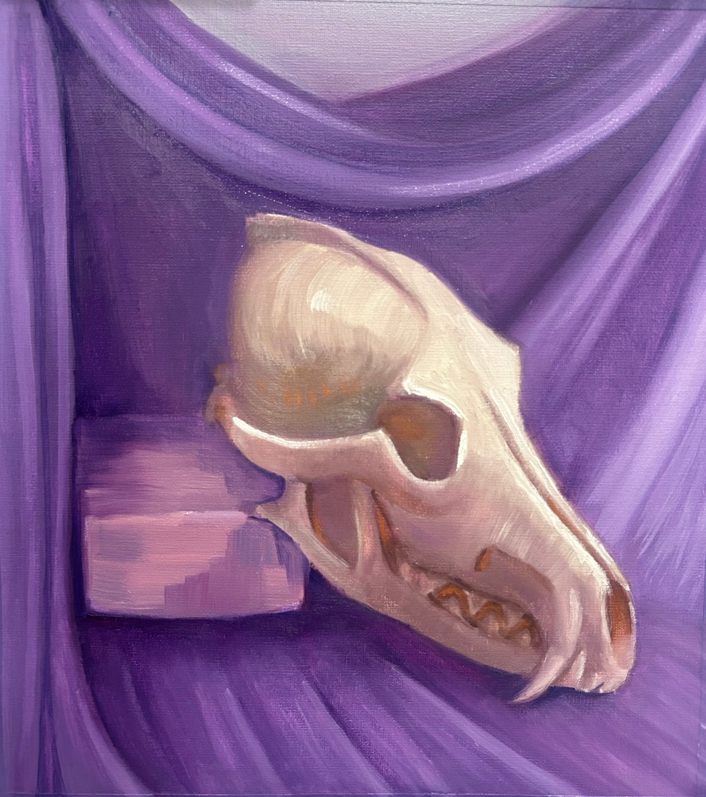 Coyote Skull Purple